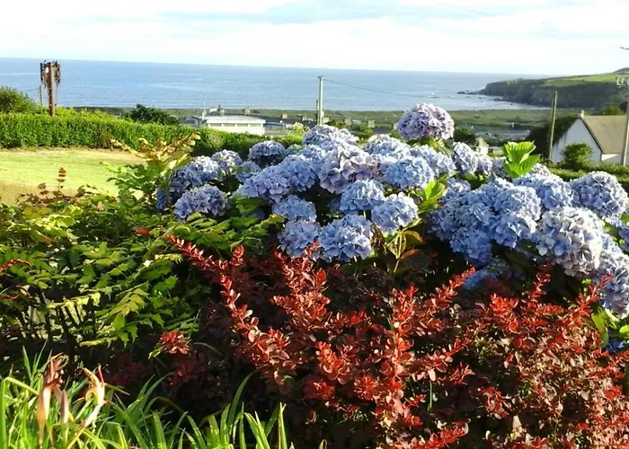 Copperfield House Bed & Breakfast